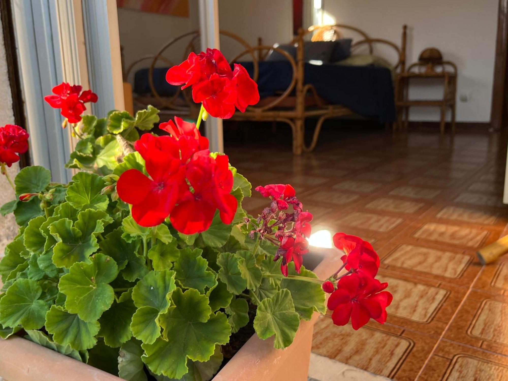 モンデッロA Casa Di Maraアパートメント エクステリア 写真